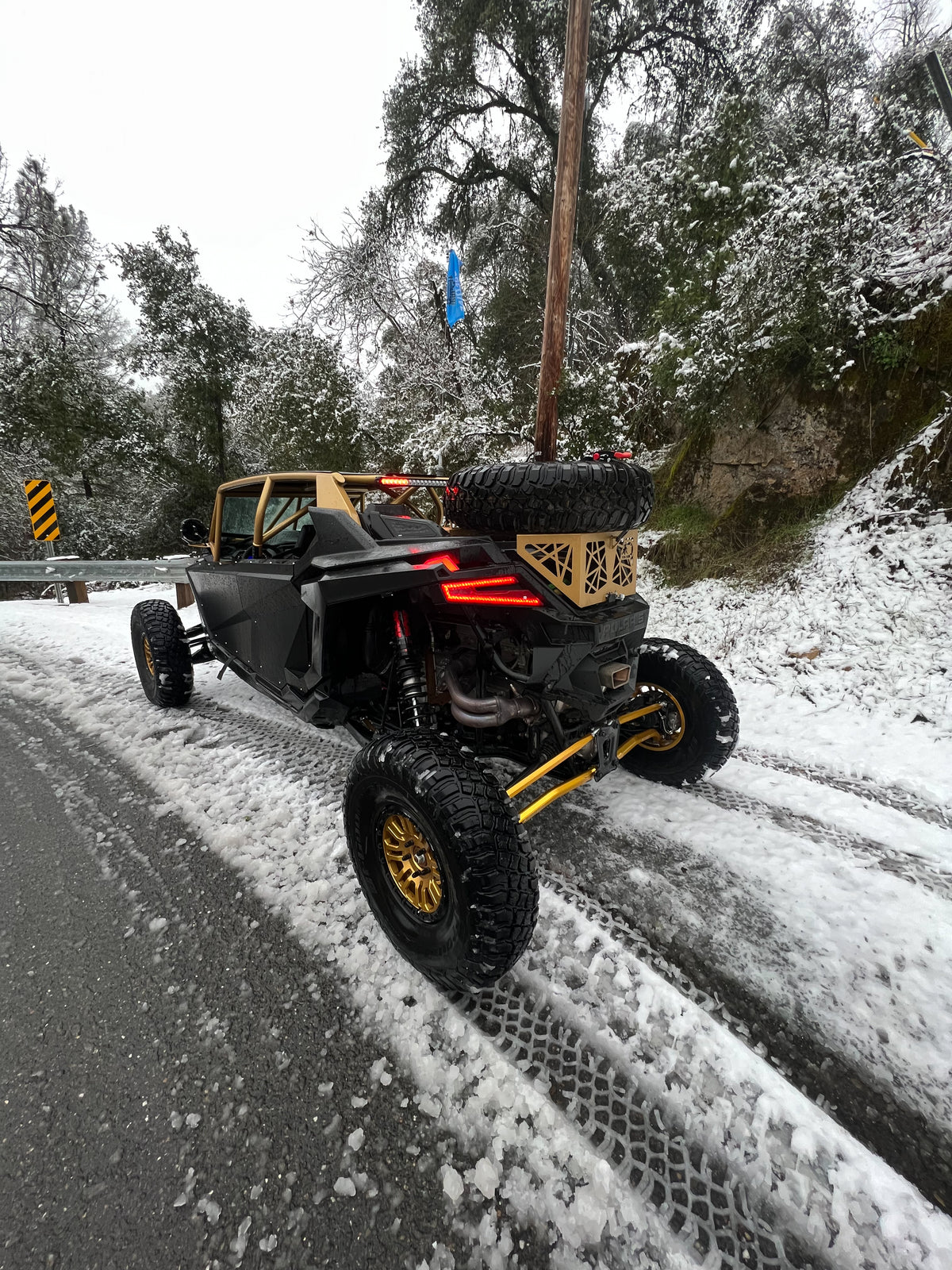 Alpine Designs Spare Tire Carrier for RZR Pro XP, PRO R, and Turbo R Models